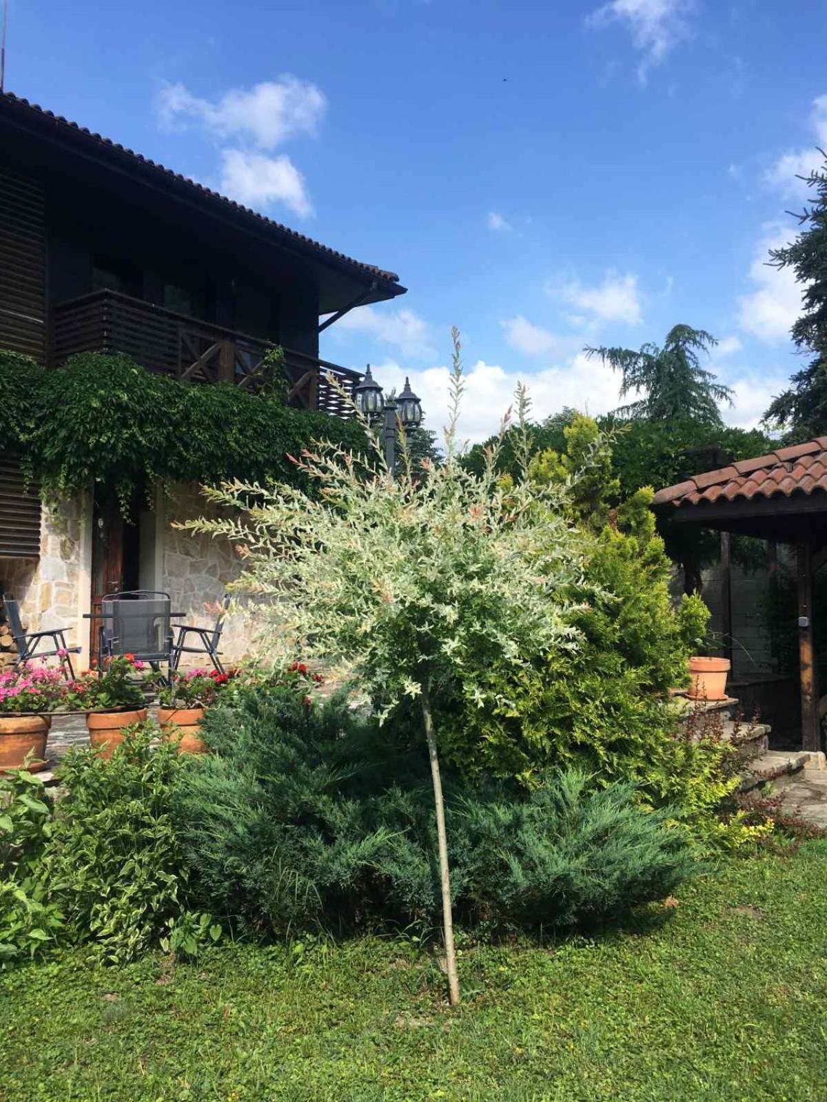 Eco Residence Ribarica Exterior foto